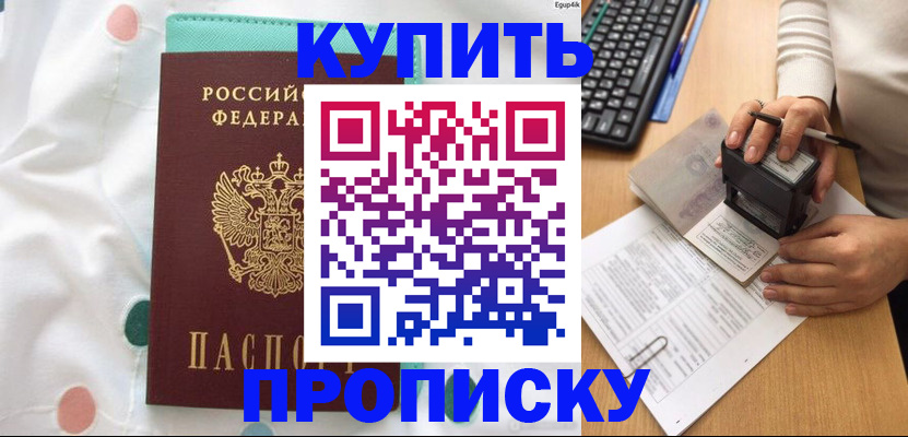прописка в квартире в Мытищах
